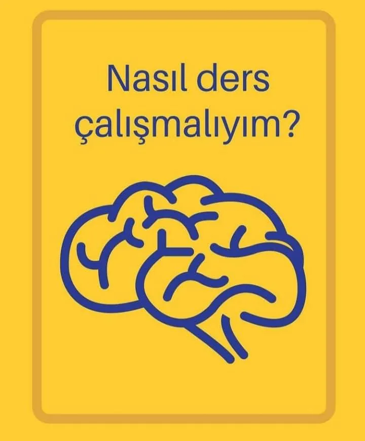 Nasıl Ders Çalışmalıyım